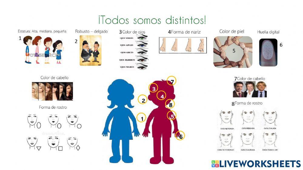 Todos somos distintos - Caballeros 