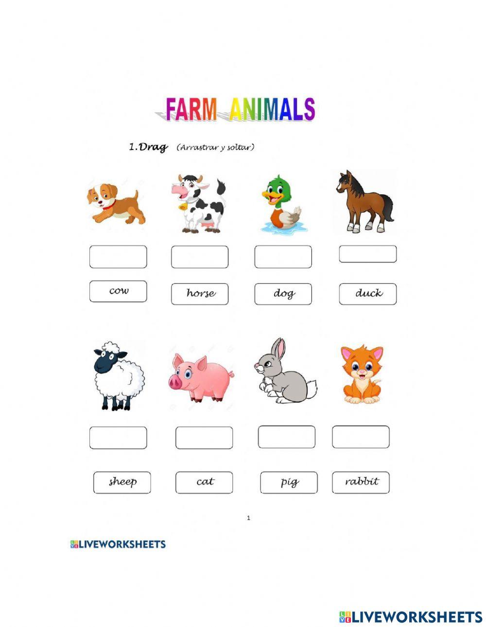 Animals: arrastra