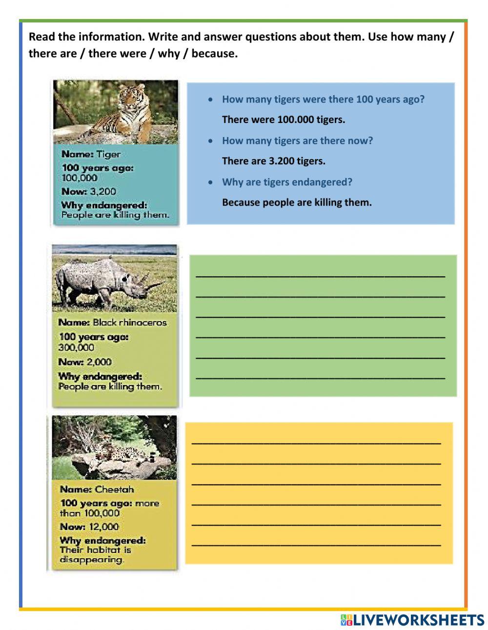 Weird and Wild Animals