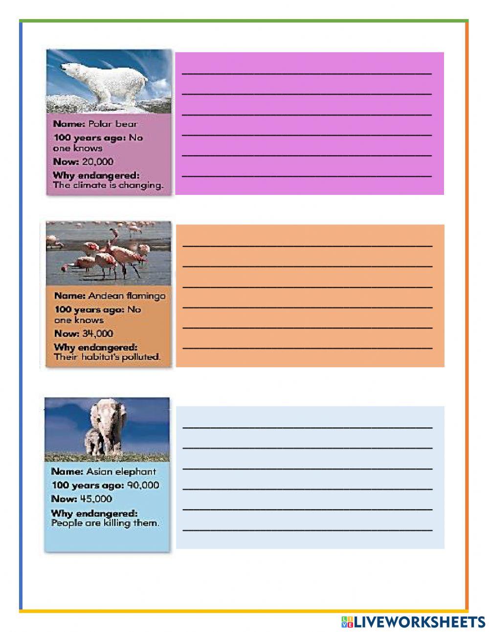 Weird and Wild Animals