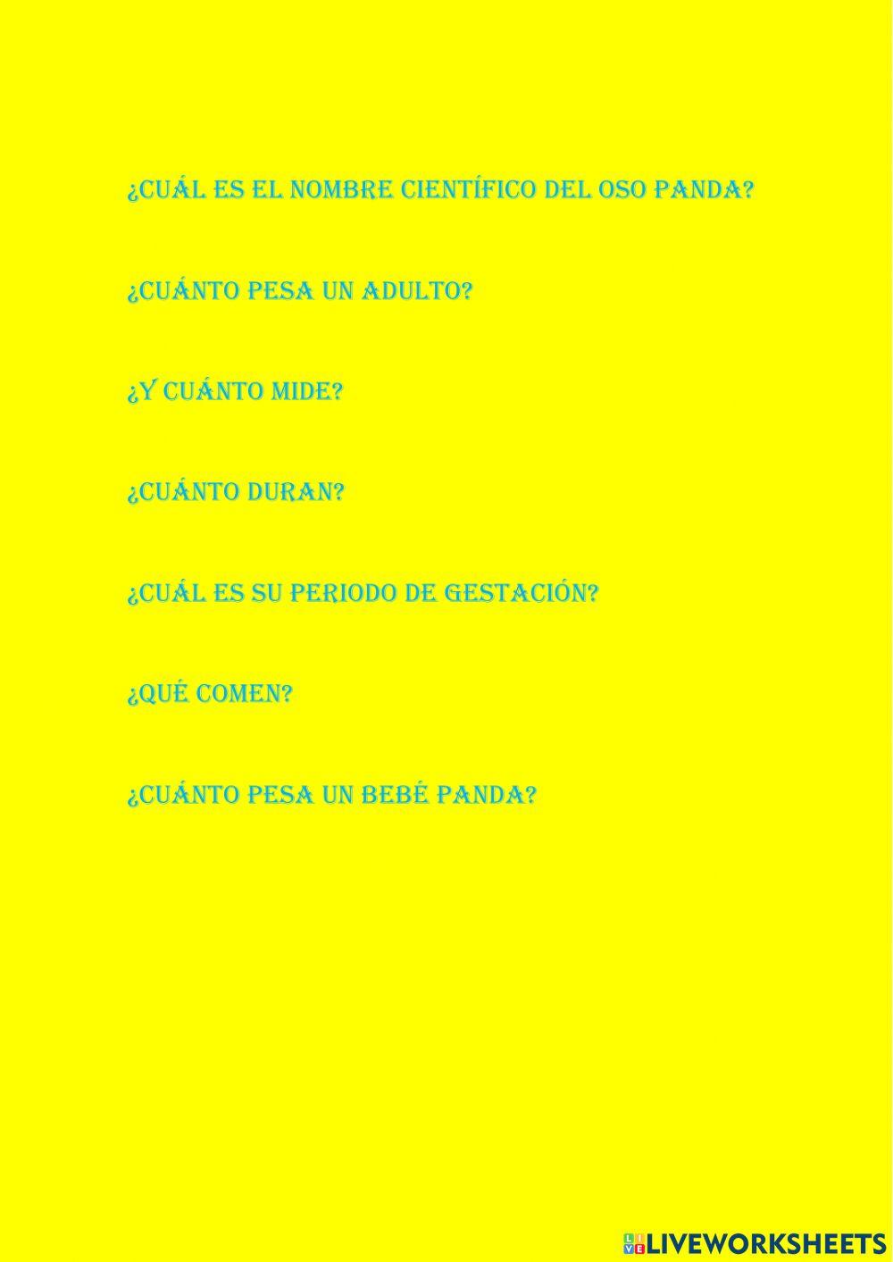 Texto expositivo oso panda