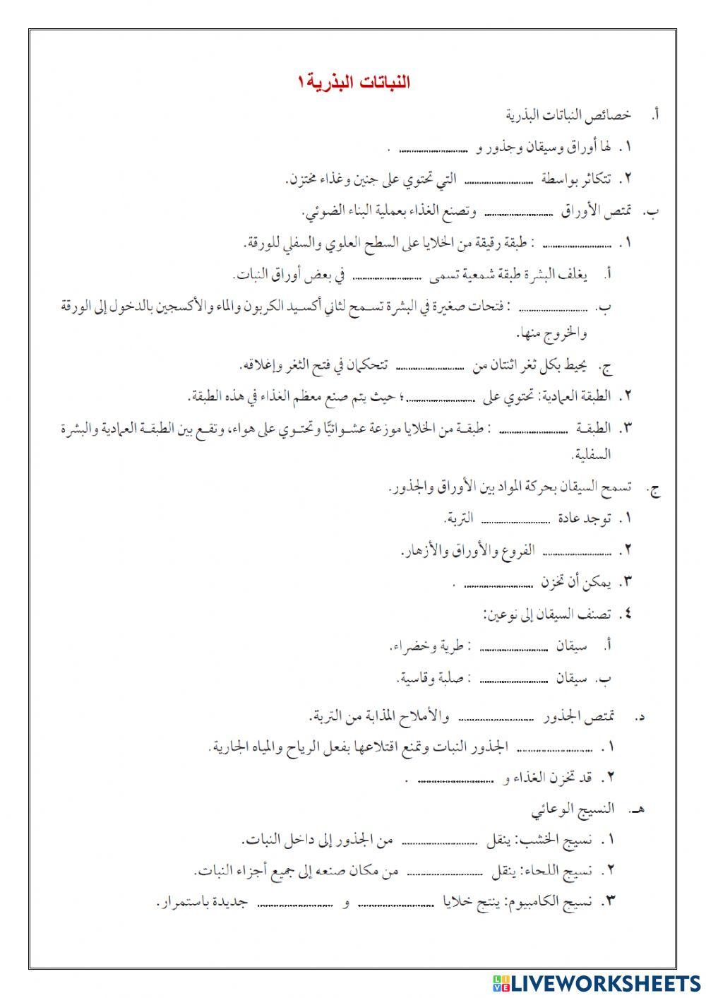 النباتات البذرية1