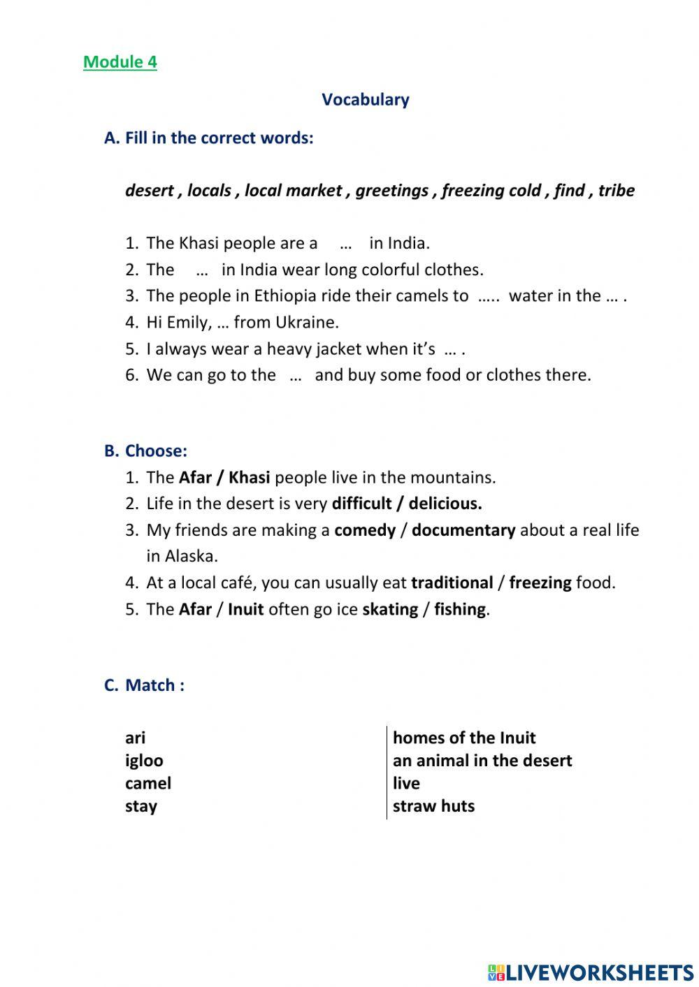 Travel (OS1Module 4 Vocabulary)