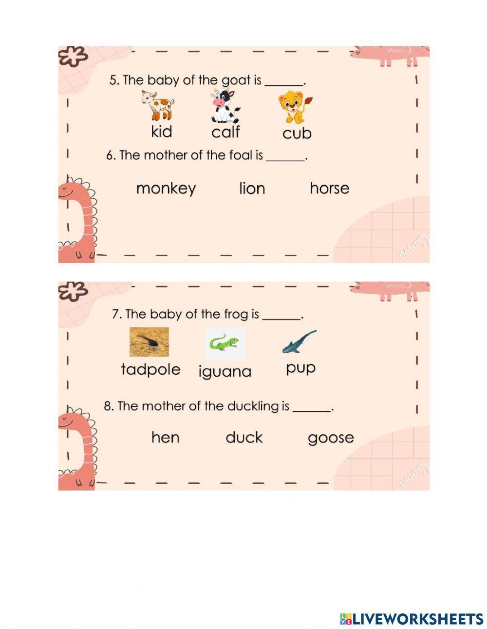 Animals and their young once