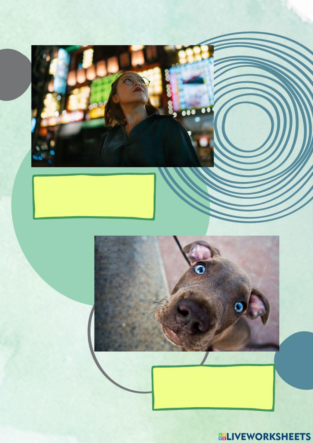 Sudut Pengambilan Gambar