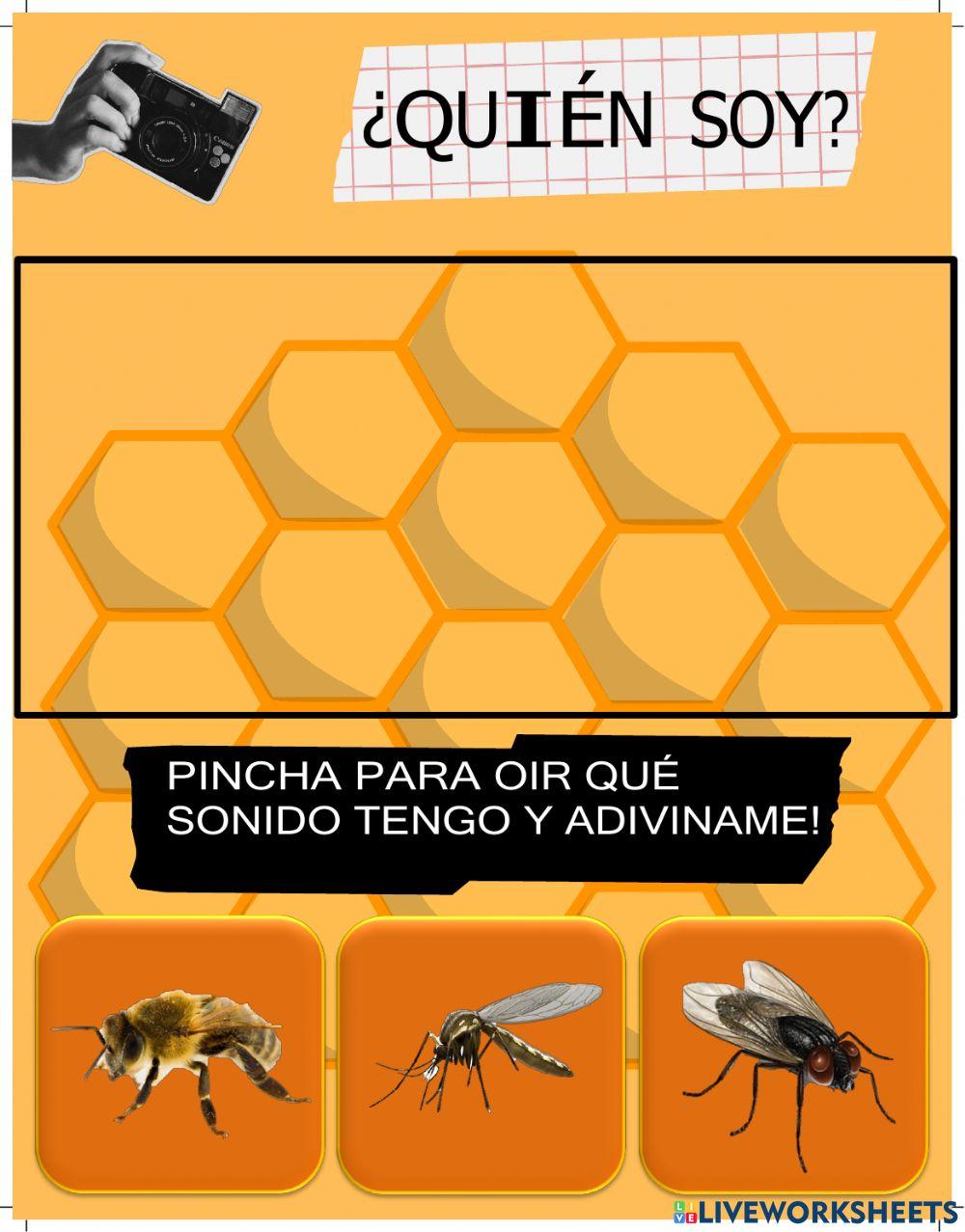 Proyecto LAS ABEJAS