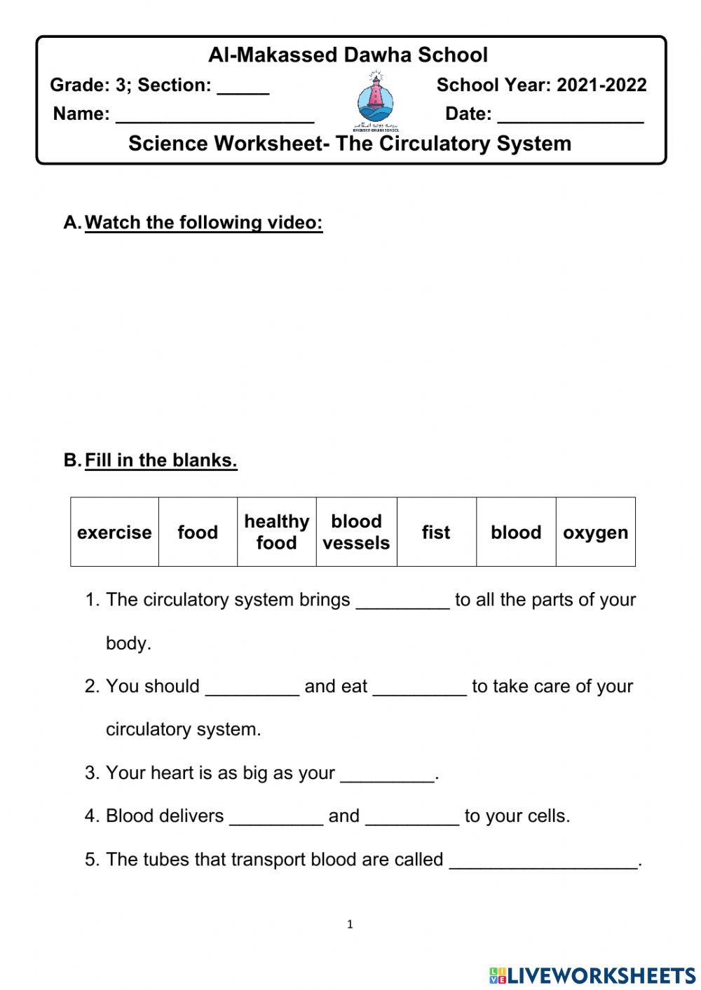 Science Worksheet