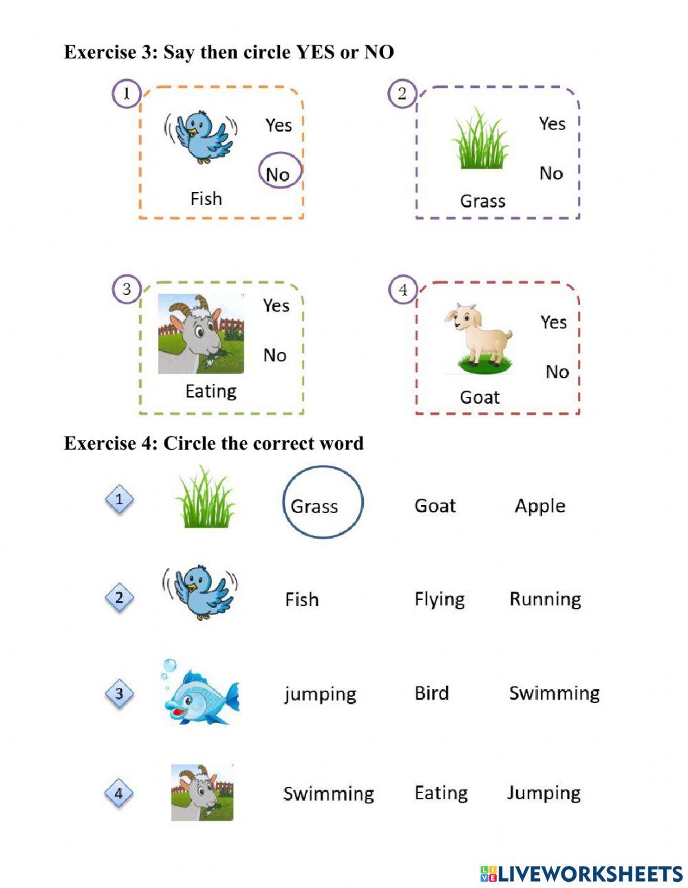 English 1 - Unit 7 - Letter G - 2