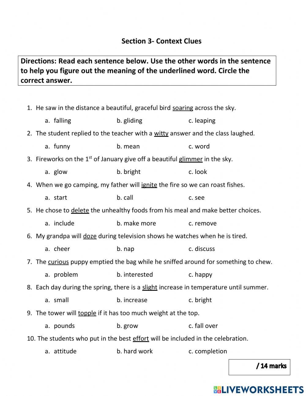 Vocabulary  Assessment 