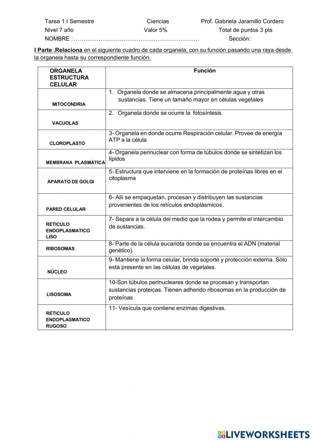 Organelas  Celulares