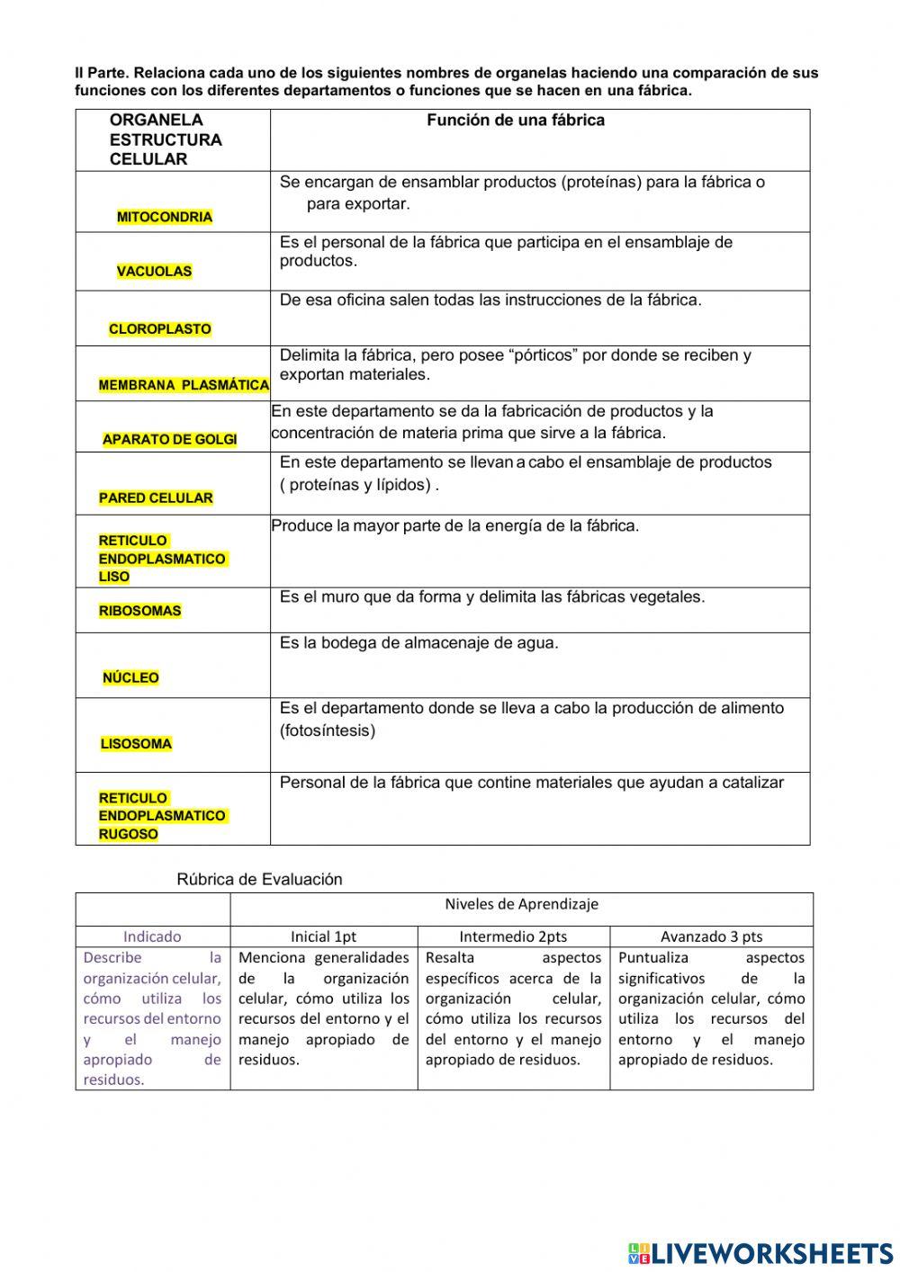 Organelas  Celulares