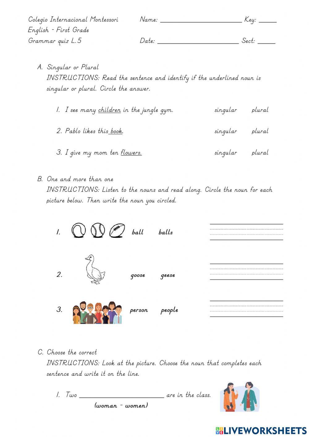 Singular and Plural Nouns