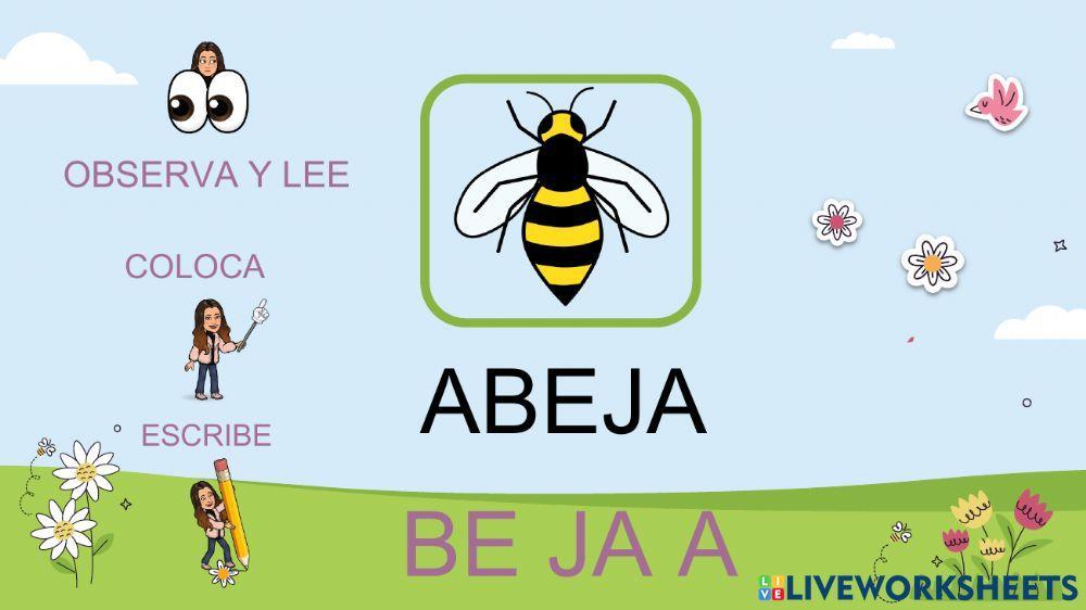 Lectura global LA PRIMAVERA