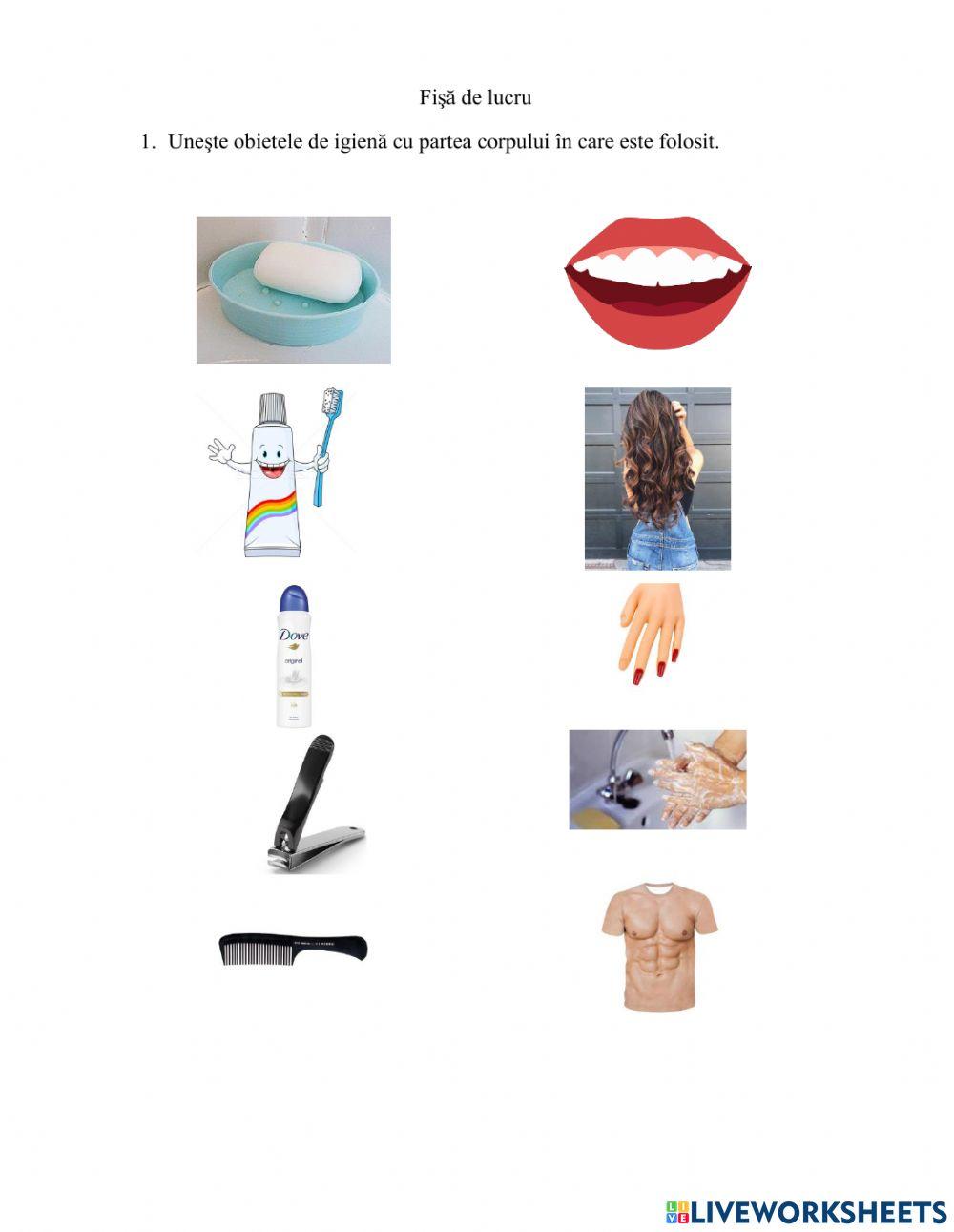 Obiete de igiena personala