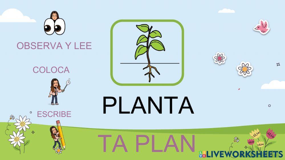 Lectura Global la PRIMAVERA 2