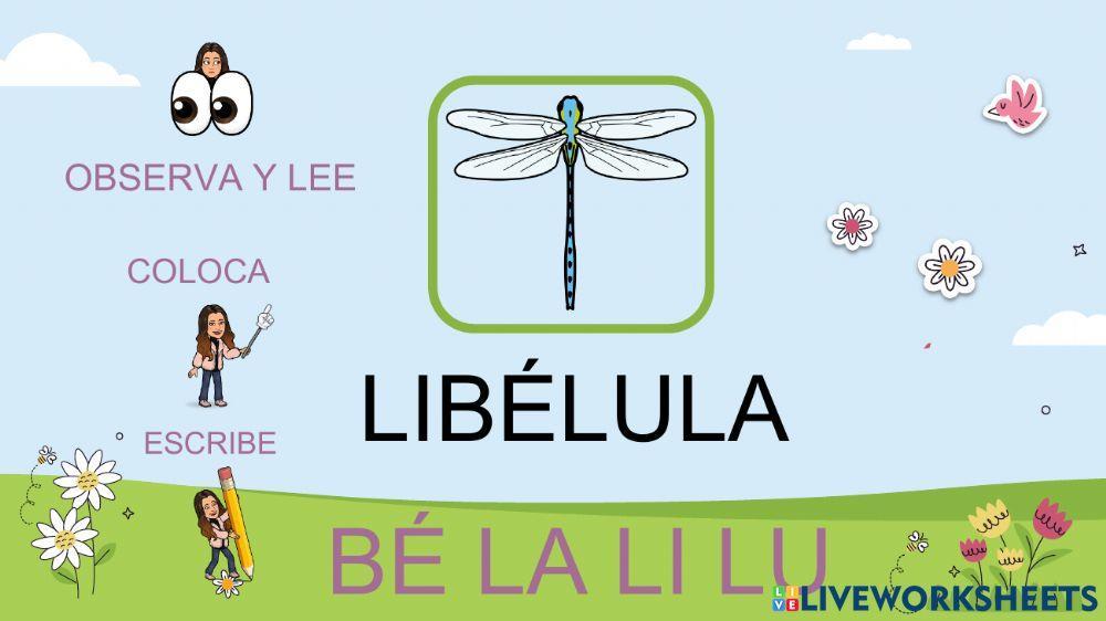 Lectura Global la PRIMAVERA 3