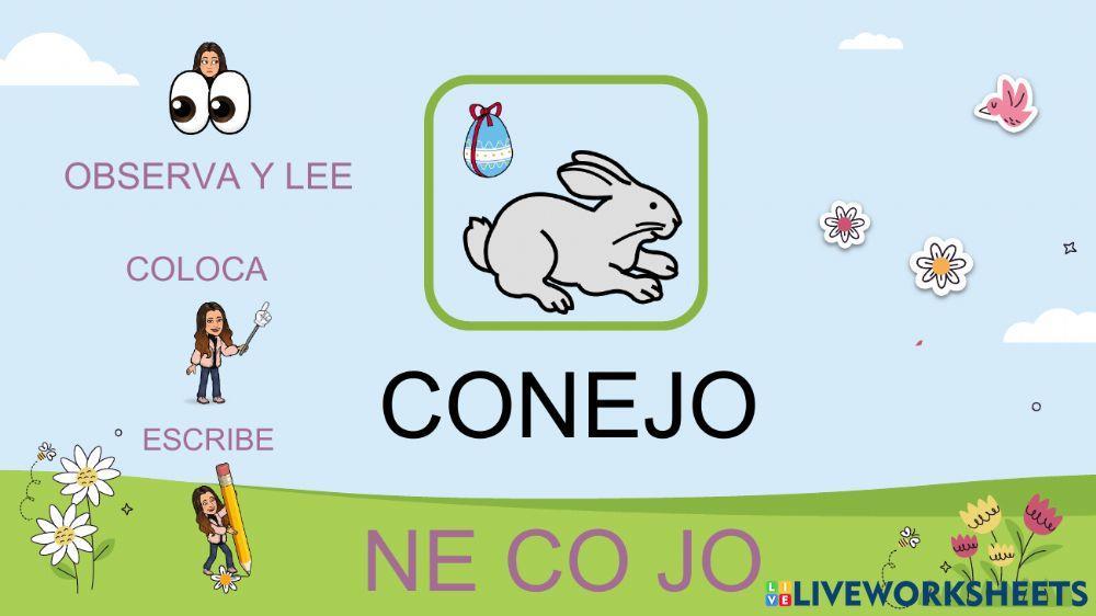 Lectura Global la PRIMAVERA 4