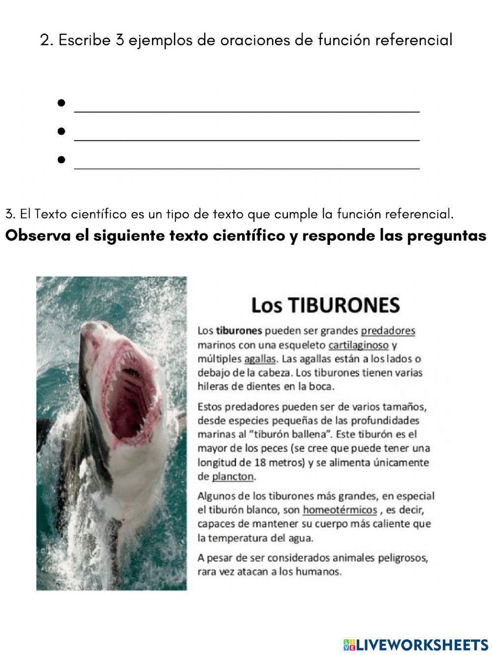 Función Referencial del lenguaje