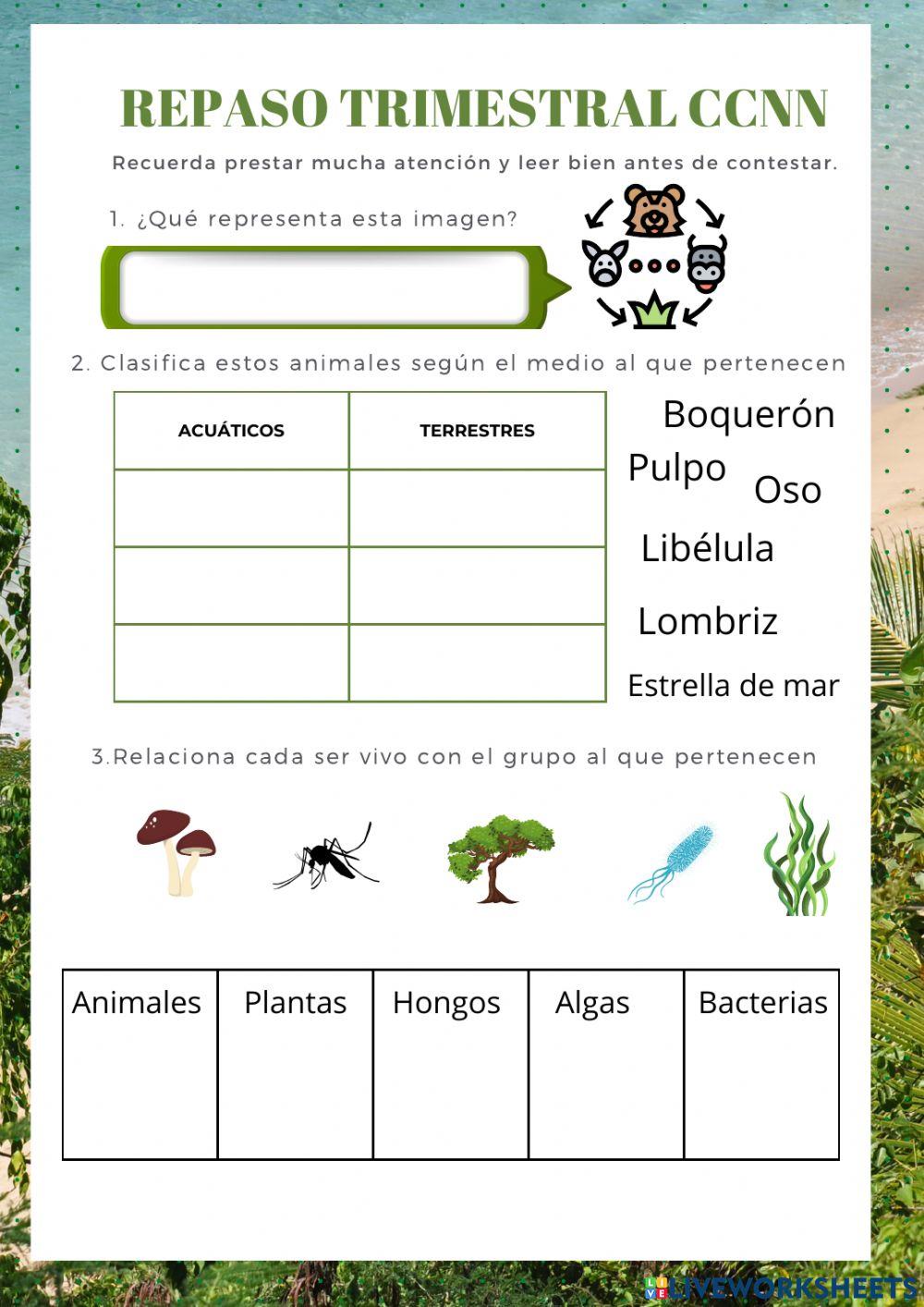 Repaso trimestral ccnn