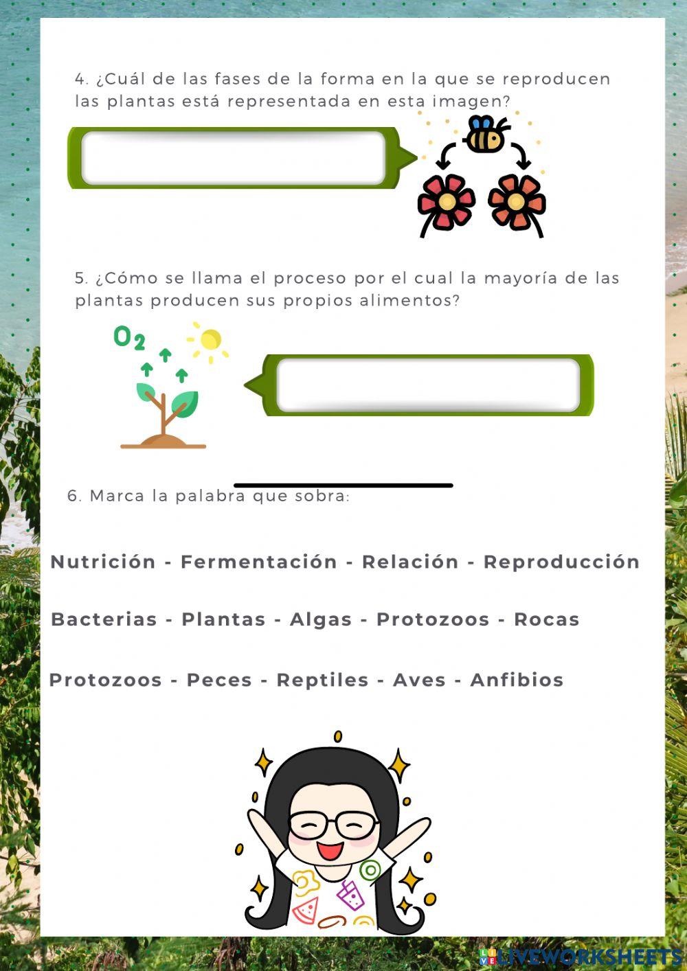 Repaso trimestral ccnn