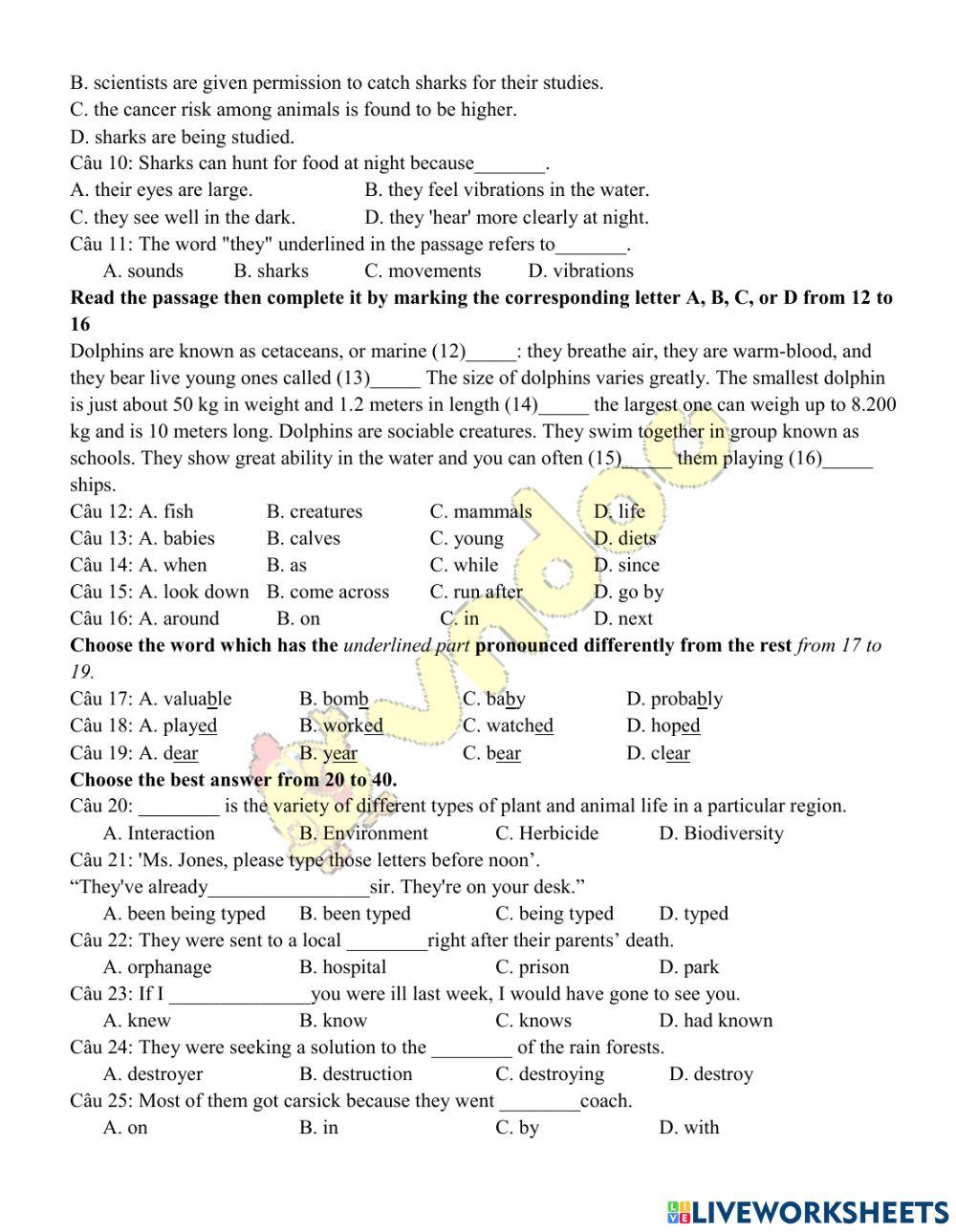 10cb - ôn giữa kỳ 2 - test 3