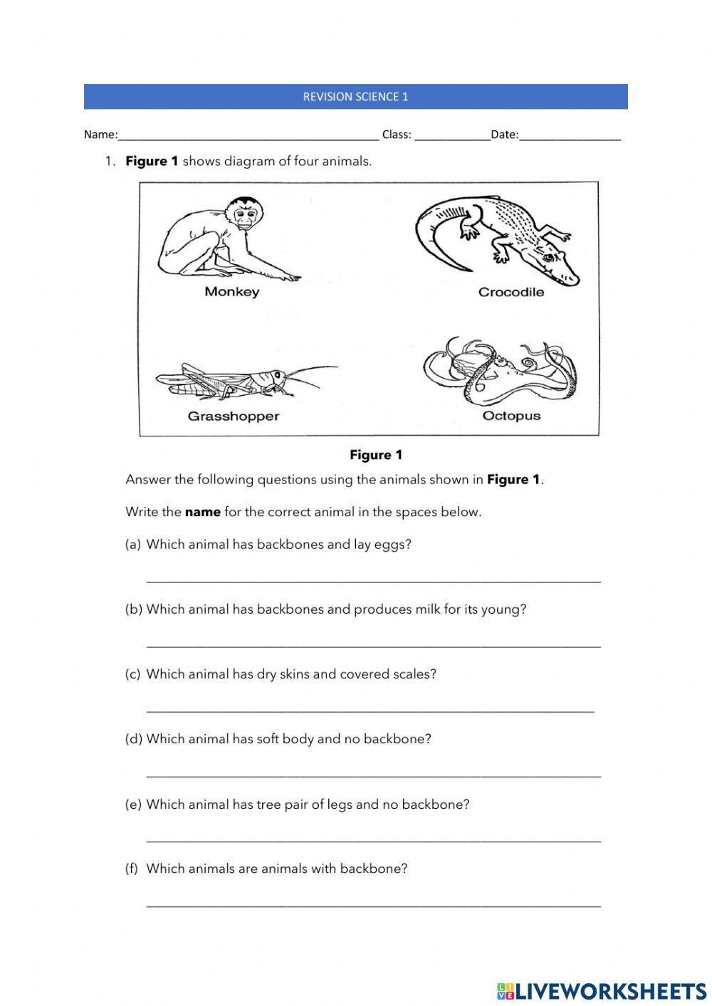 Animal classifications