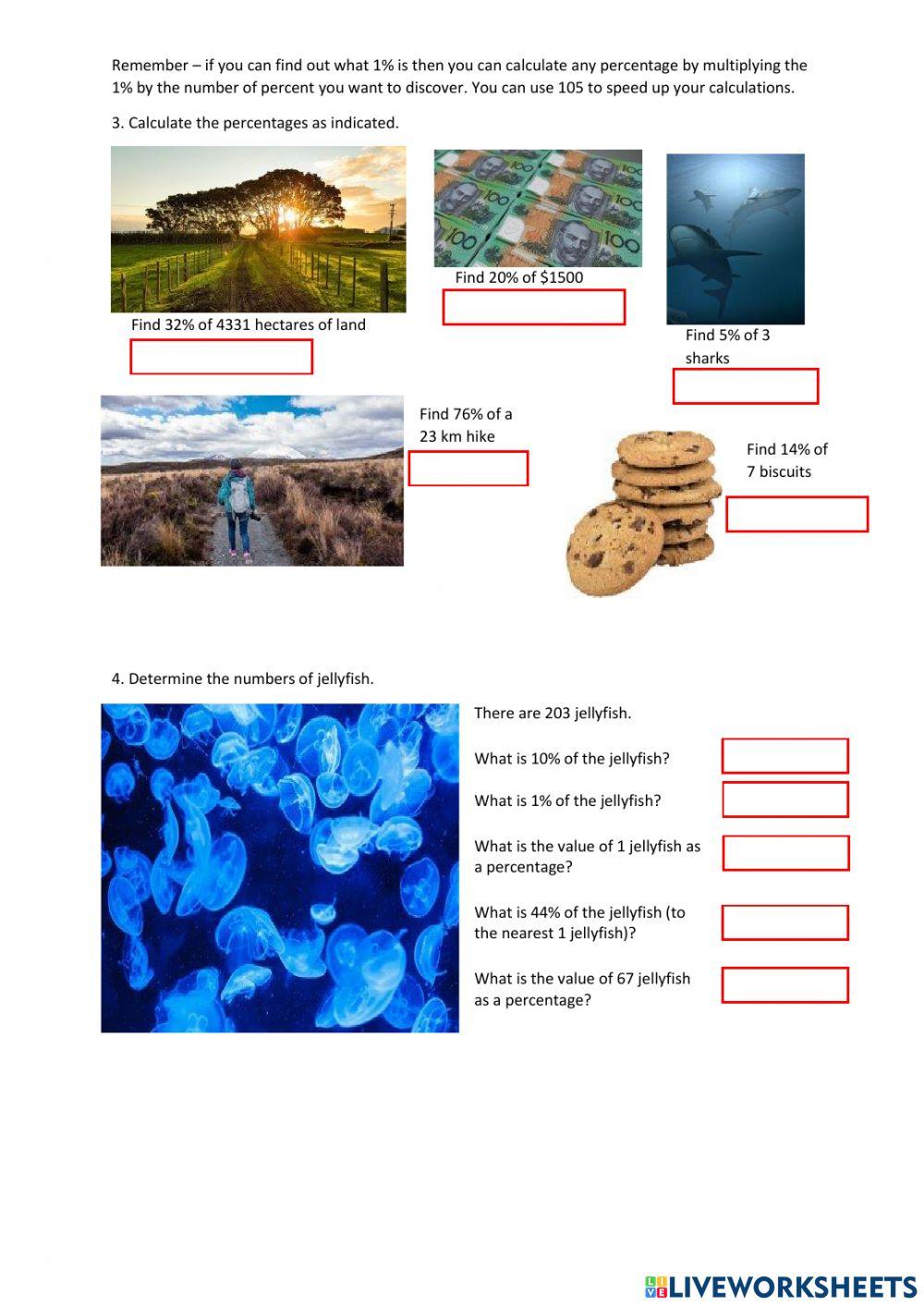 Percentage Calculations