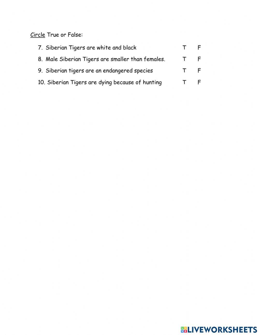 Listening Comprehension
