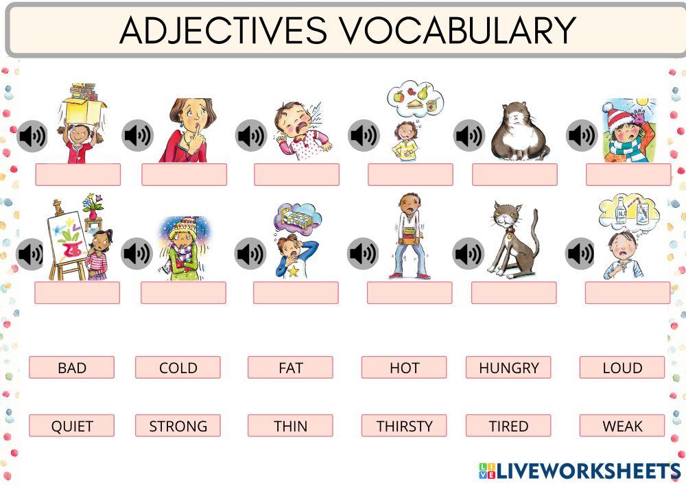 Adjectives Vocabulary Adjectives Vocabulary