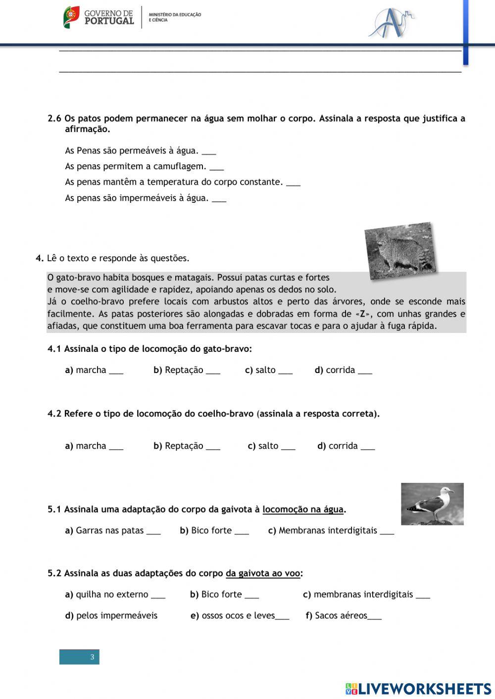 Diversidade de animais (até locomoção)