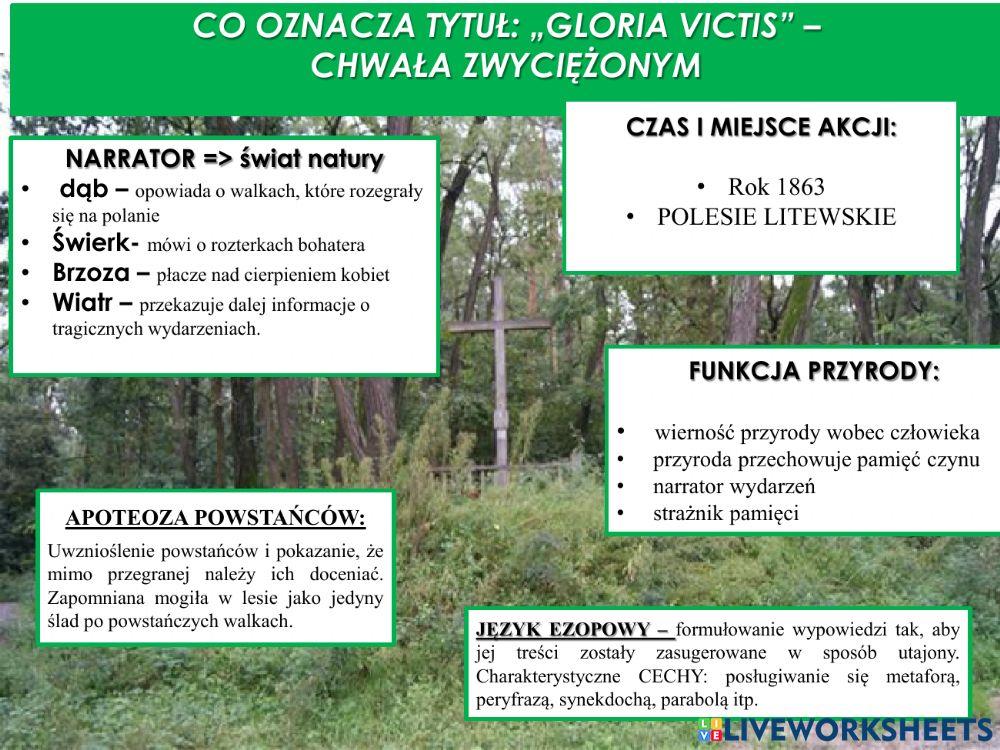 Eliza orzeszkowa -gloria victis-