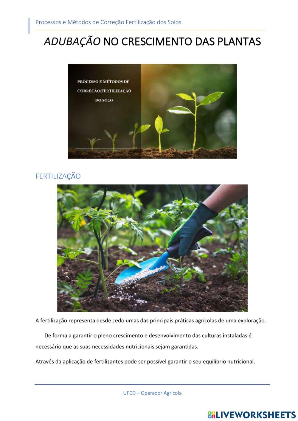 Adubação No Crescimento das Plantas