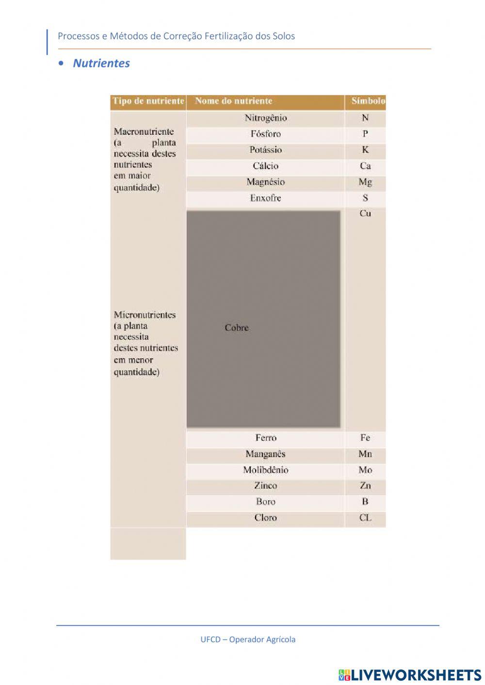 Adubação No Crescimento das Plantas