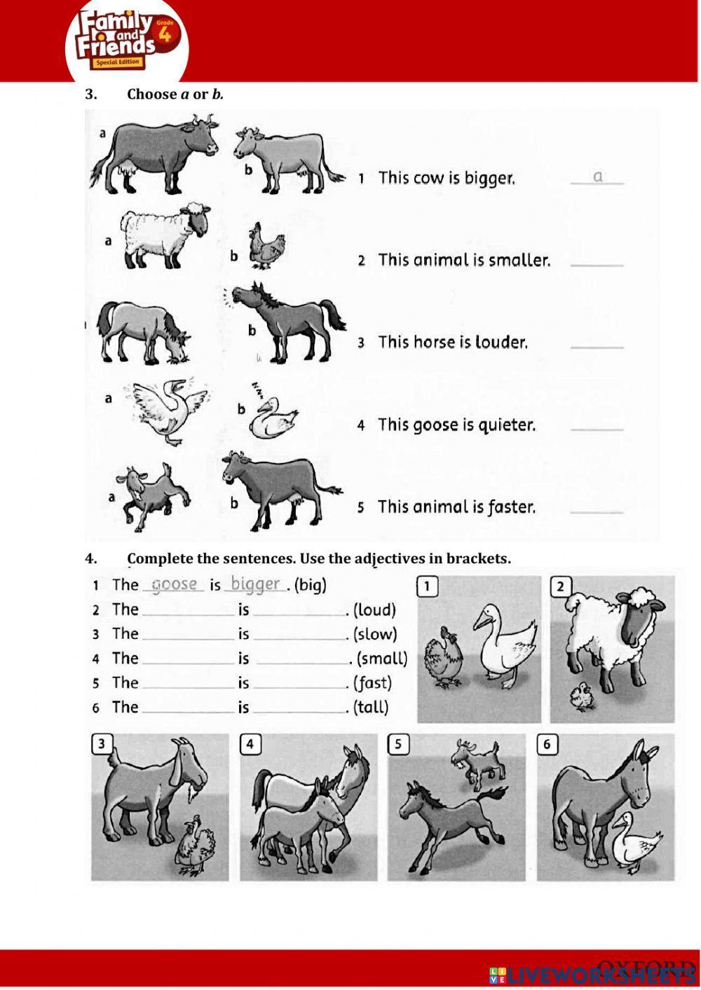 Look at all the animals