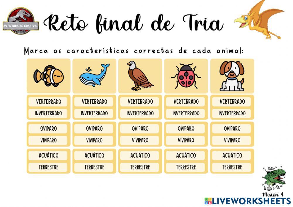 Animais