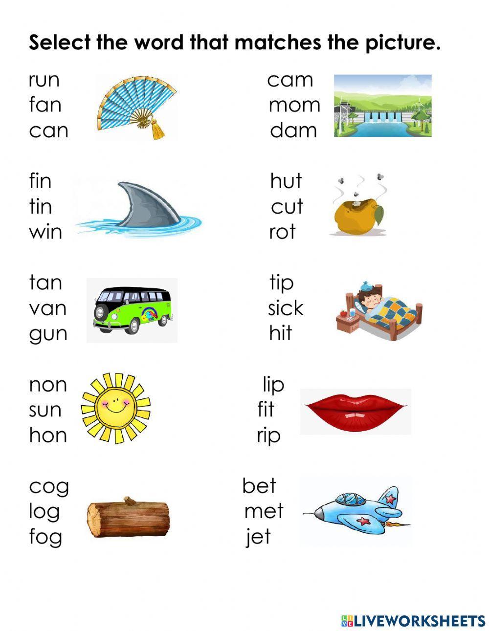 Cvc words and phrases