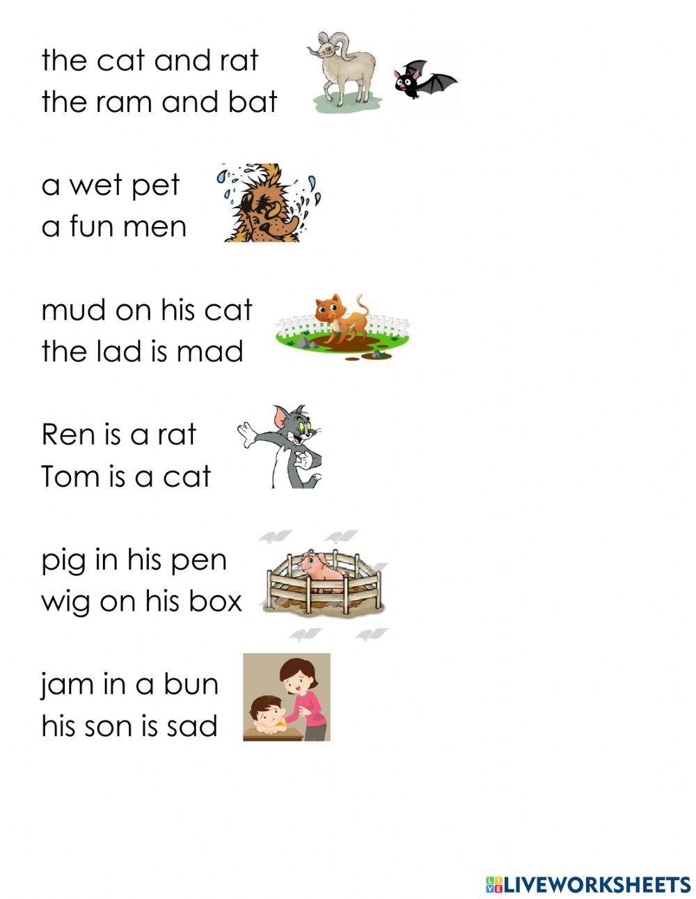 Cvc words and phrases