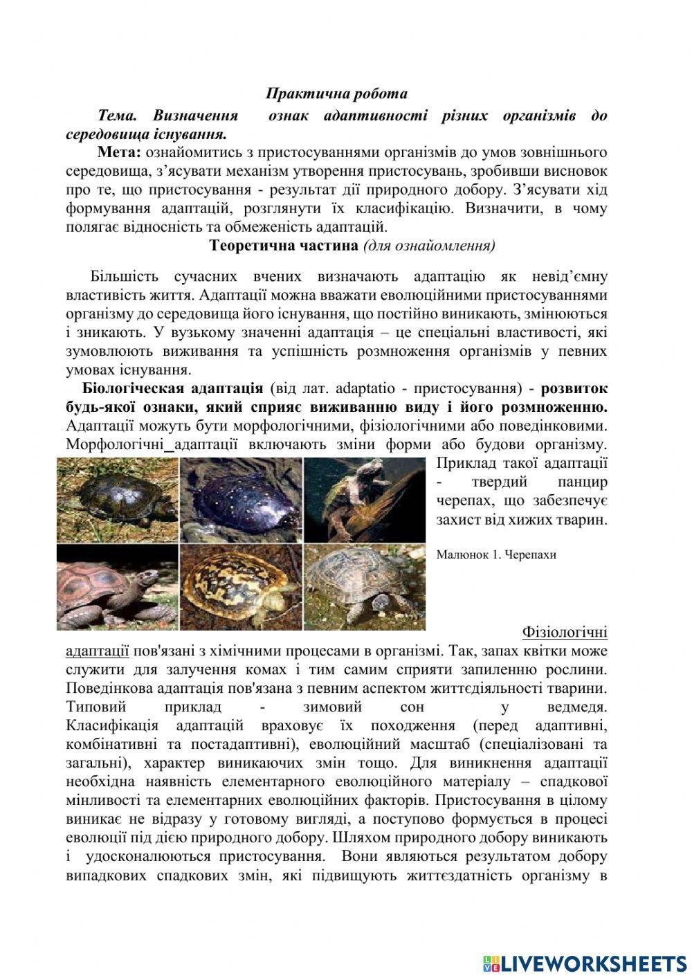 Практична робота. Визначення ознак адаптивності різних організмів до середовища існування