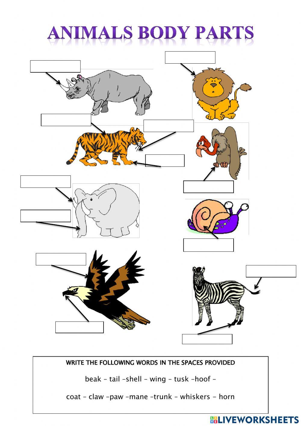 animals-and-body-parts-online-worksheet-live-worksheets