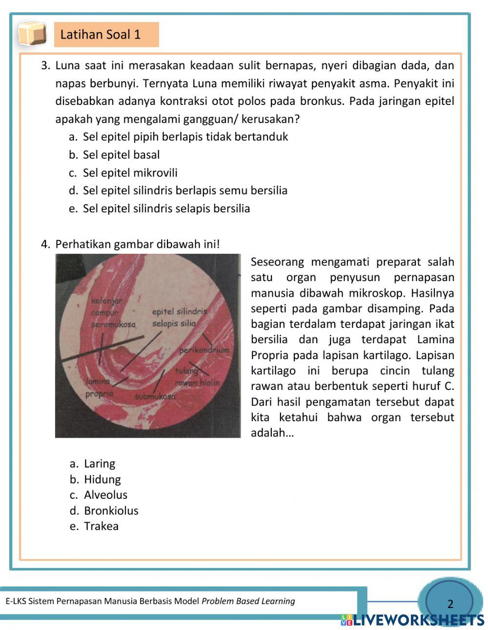 Latihan Soal Sistem Pernapasan Manusia 1