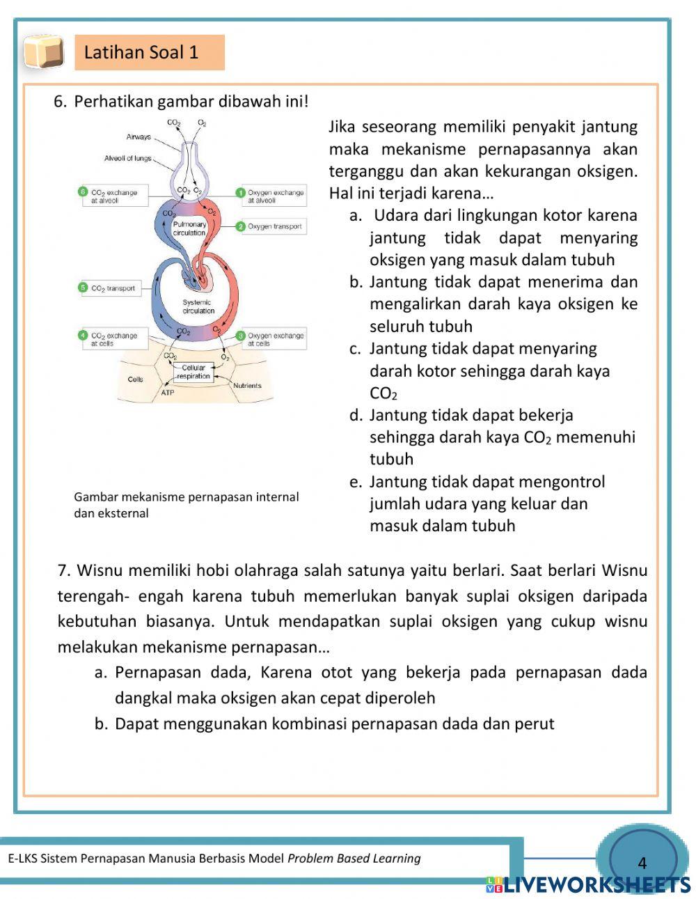 Latihan Soal Sistem Pernapasan Manusia 1