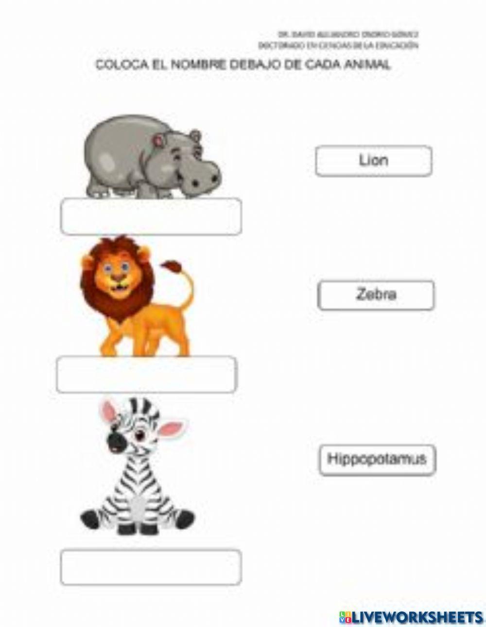 Animales salvajes en inglés Animales salvajes en inglés