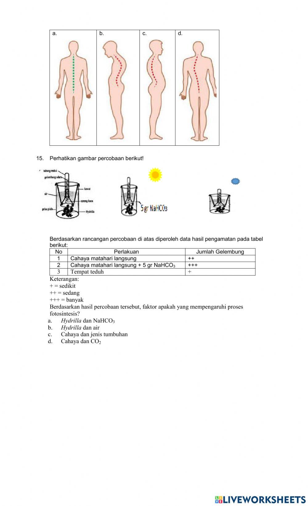 Latihan Soal US 4