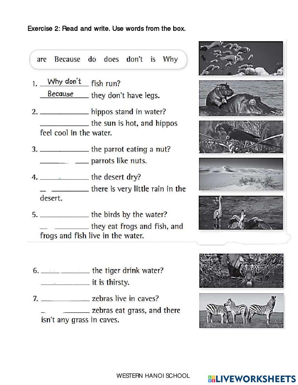 3C2 - Worksheet ESL -W31