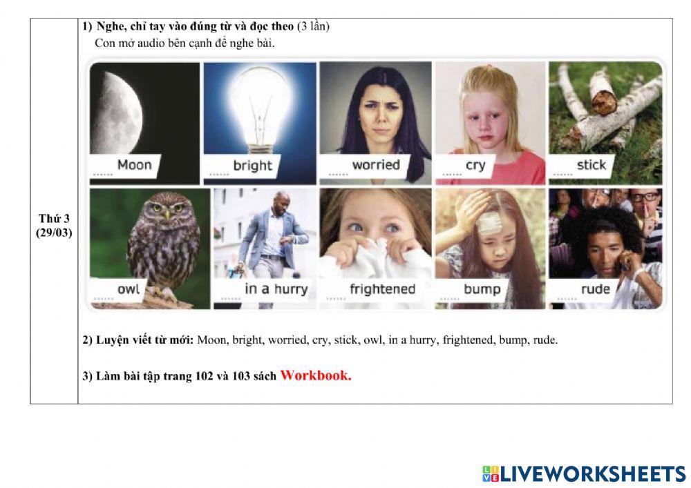 Hướng dẫn học tuần 34