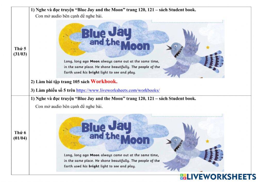 Hướng dẫn học tuần 34