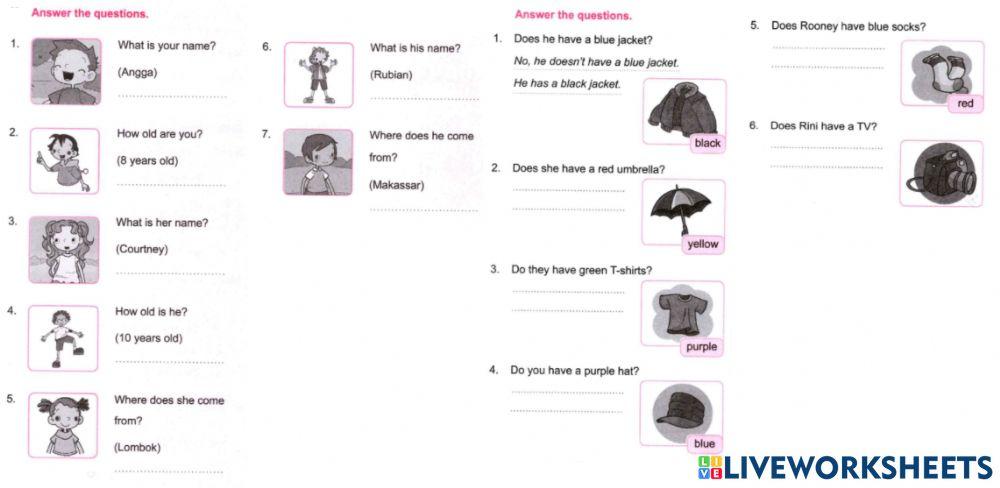 Sm sd 5 english using have and has 3