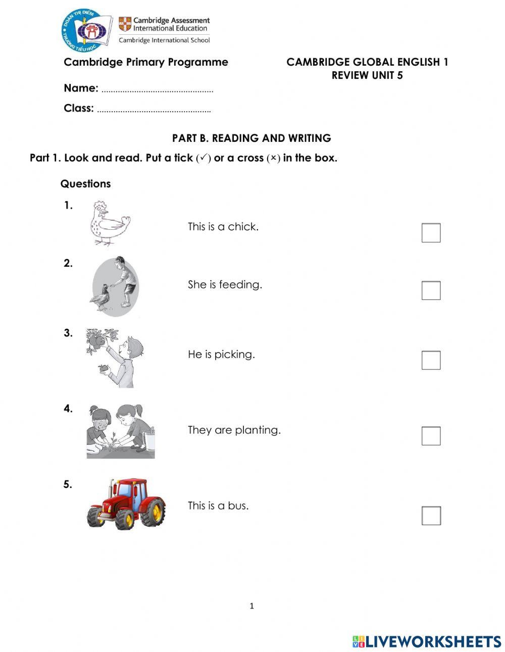 CGE1-Review U5-RW-WS
