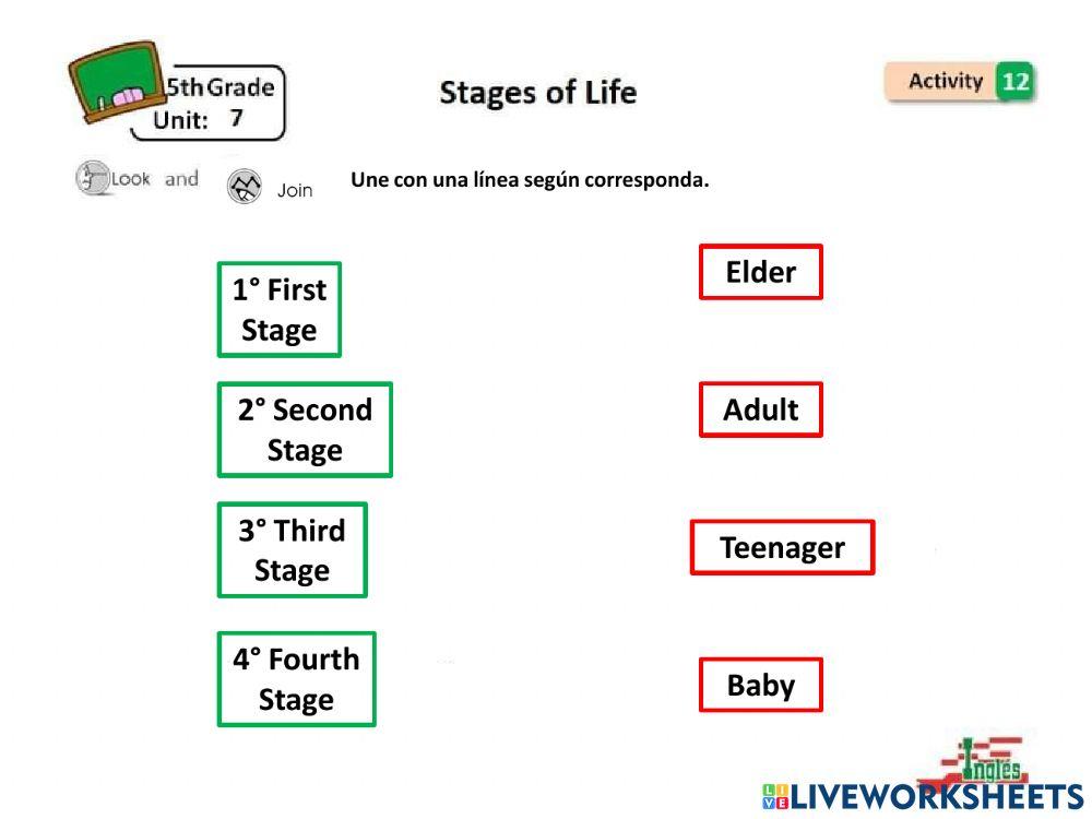 Activity 5th grade Unit 7 W3