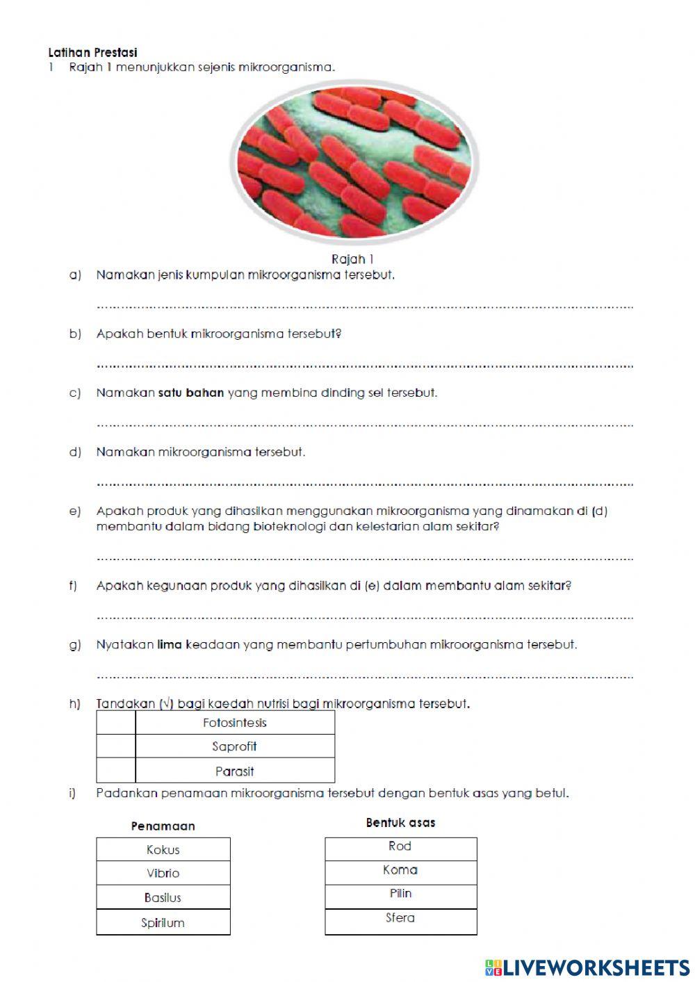 Aplikasi Mikroorganisma Berfaedah dalam Kehidupan Harian